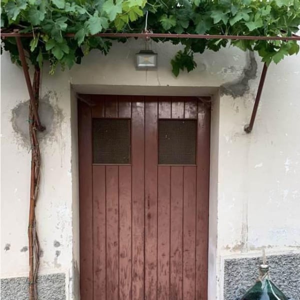 Michael Cararro, Alessandro Stefani