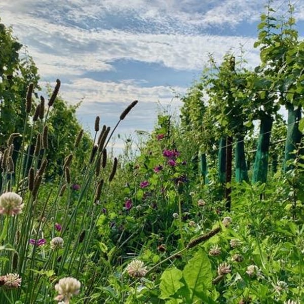 Michaela & Leo Uibel