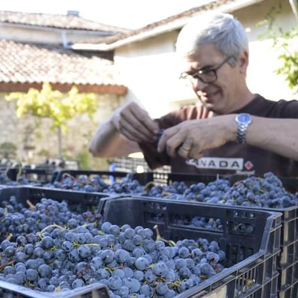 Michel & Angelita Baucé
