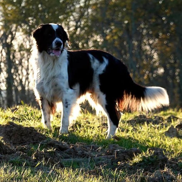 Michel & Angelita Baucé
