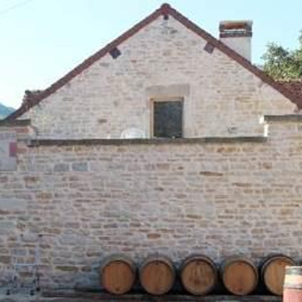 Domaine des Ronces - Michel & Kevin Mazier