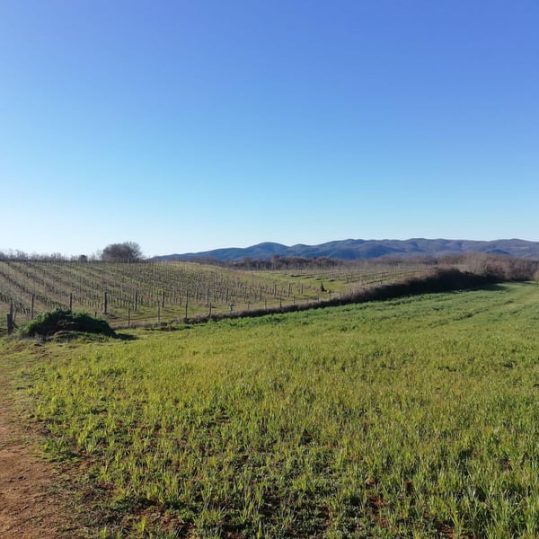 Dumatt - Viviana Tomassetti & Michela Rossi