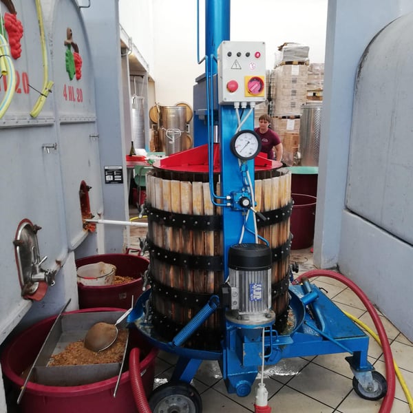 Dumatt - Viviana Tomassetti & Michela Rossi