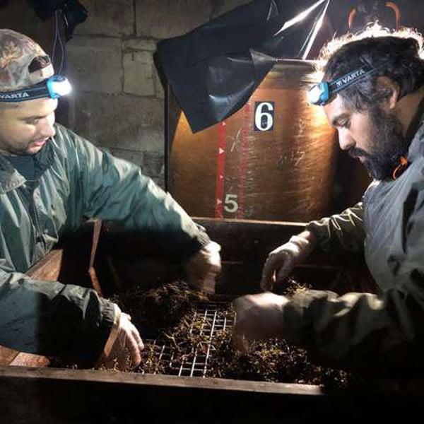 La Sauvagère - Nicolas & Lili Desdouit