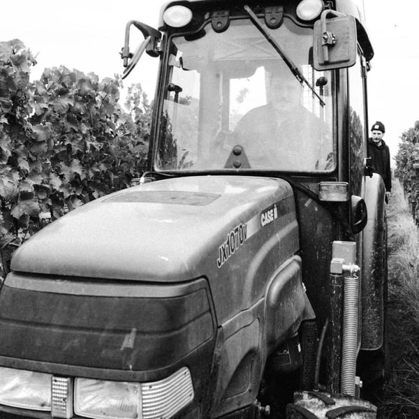 Niklas Rückrich - Niklas Rückrich