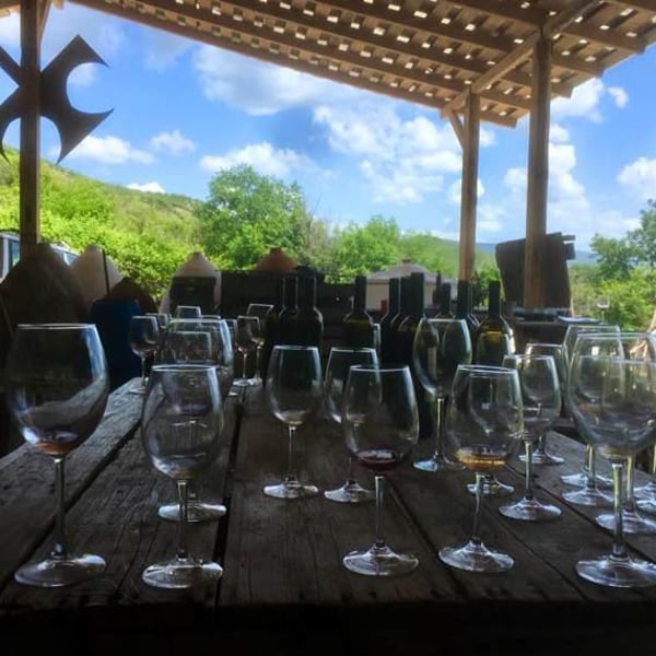 Antadze wines ანთაძეების მარანი - Nikoloz Antadze