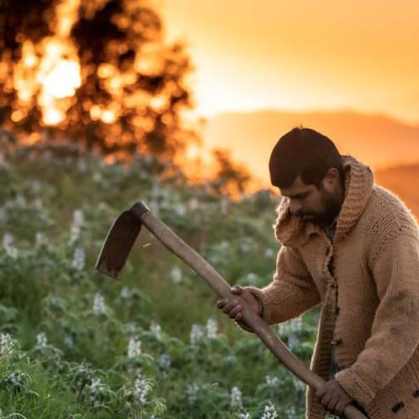 Pablo Pedreros & Daniela De Pablo Mendoza