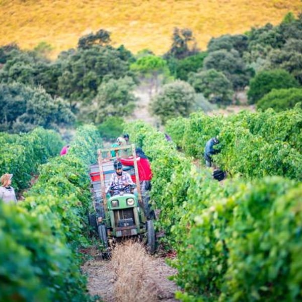 Domaine de Mortiès - Pascale & Richard Moutiés
