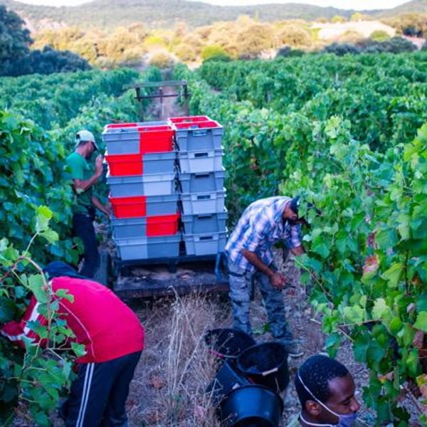 Domaine de Mortiès - Pascale & Richard Moutiés