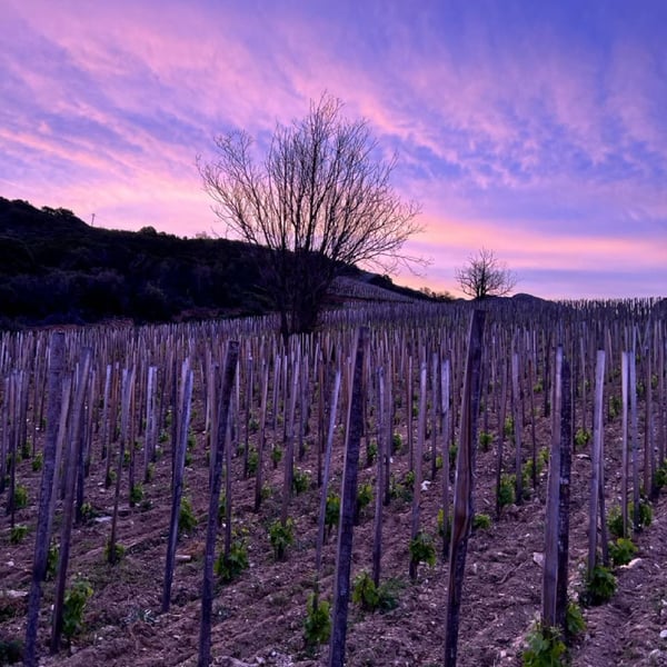 Patricia & Jean-Baptiste Ferrandi