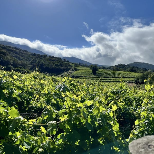 Patricia & Jean-Baptiste Ferrandi