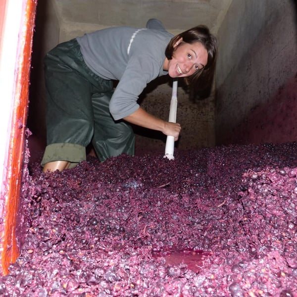 Domaine de La Grosse Pierre - Pauline Passot