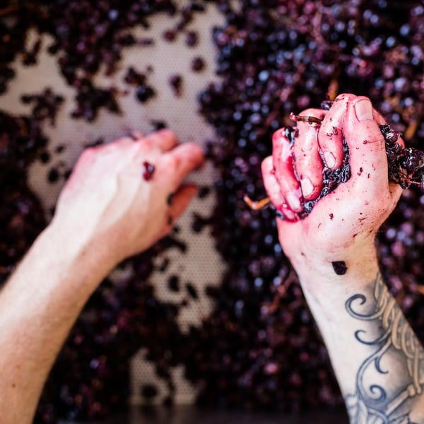 Pax Wines - Pax Mahle