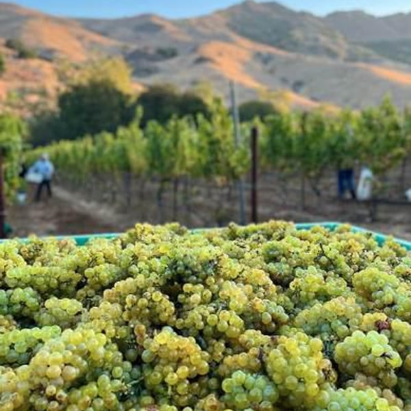 Phelan Family & Rajat Parr