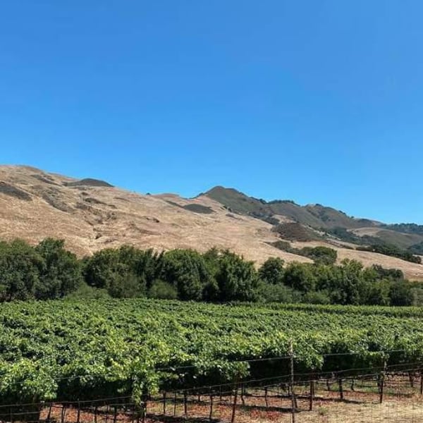 Phelan Farm - Phelan Family & Rajat Parr