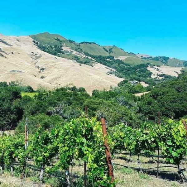 Phelan Farm - Phelan Family & Rajat Parr