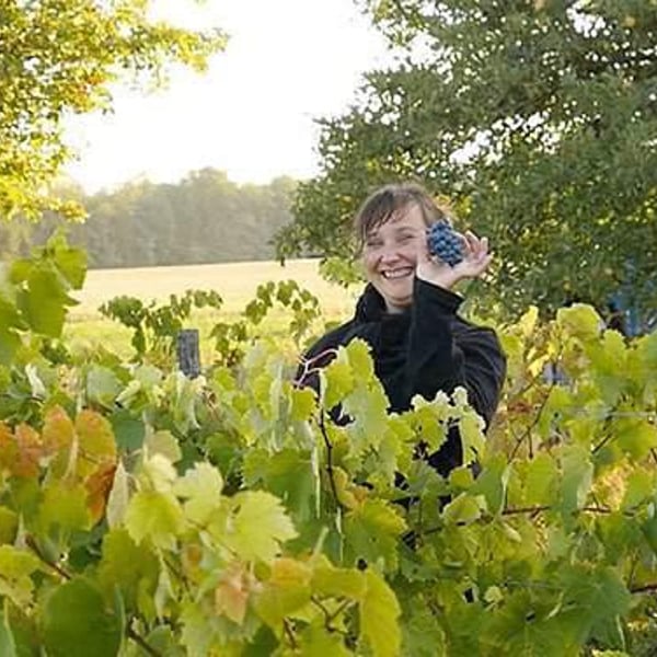 Domaine des Pies Blanches - Pierre Pradelle