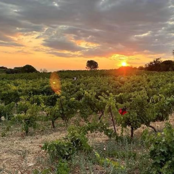 Raphaël Baissas de Chastenet "RAF"