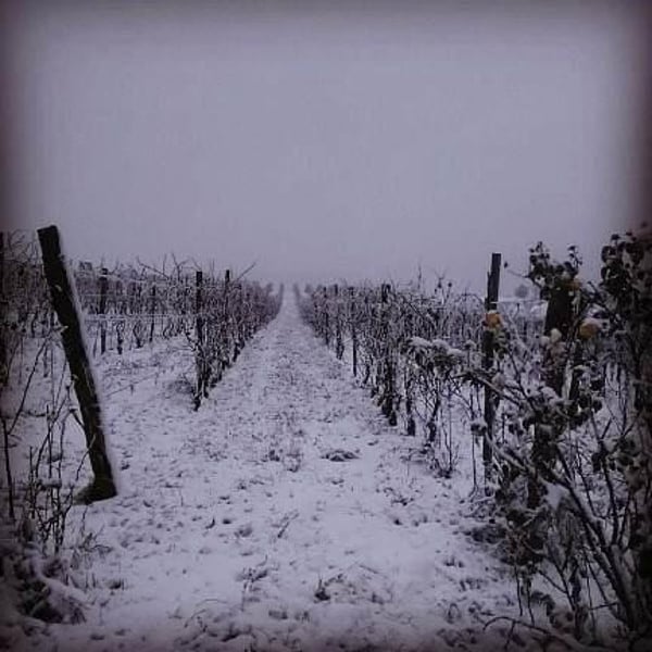 Cascina Gasparda - Roberto & Mauro Salvaneschi