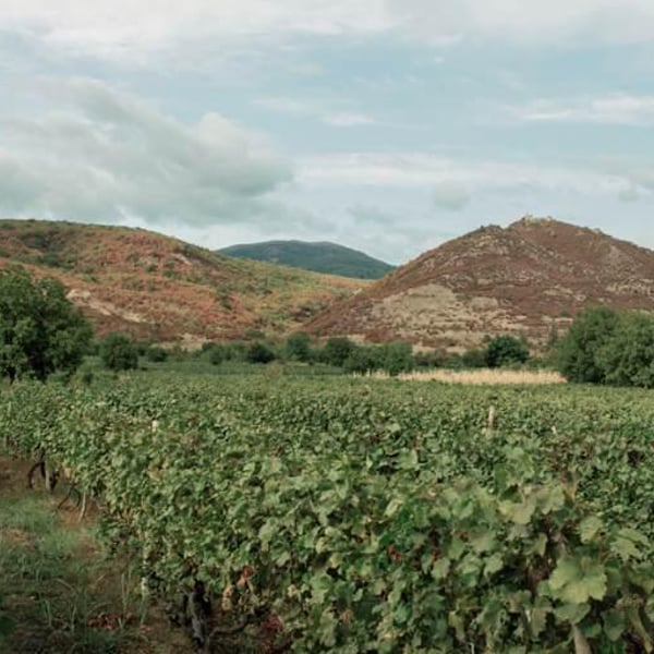 Artizani - Salomé Andrazashvili, Irakli Gvaramia & David Mgeladzé