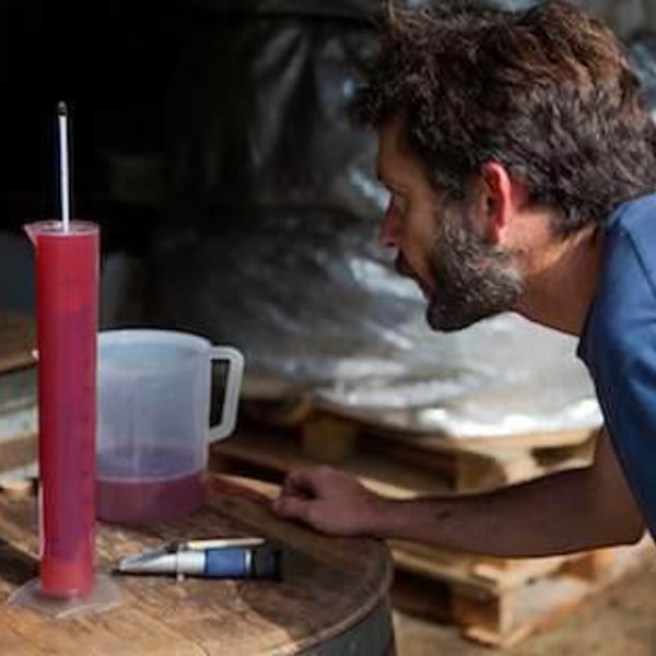 Domaine de la Roche Bleue - Sébastien Cornille