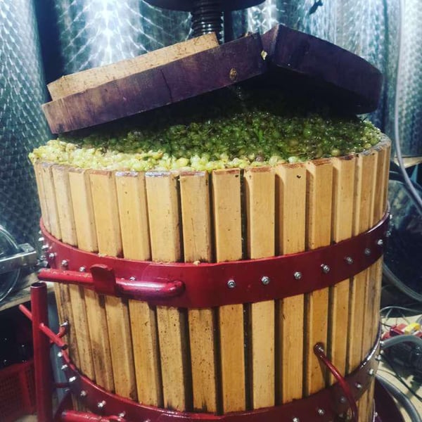 Celler Ca Foracaime - Sergi Serrano