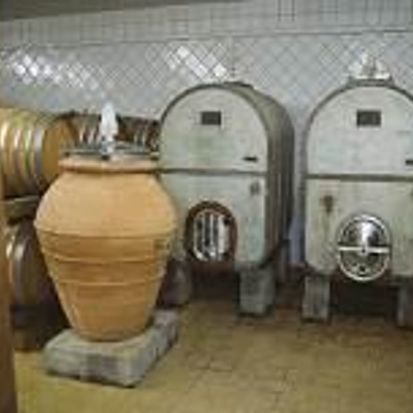 Azienda Vinicola Falzari - Sergio Falzari