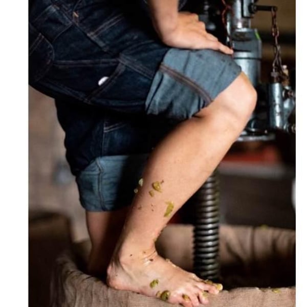 Vinos Pijoan - Silvana Pijoan