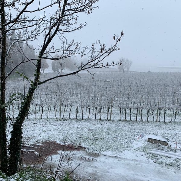 Silvia e Gianni Benciolini con Andrea