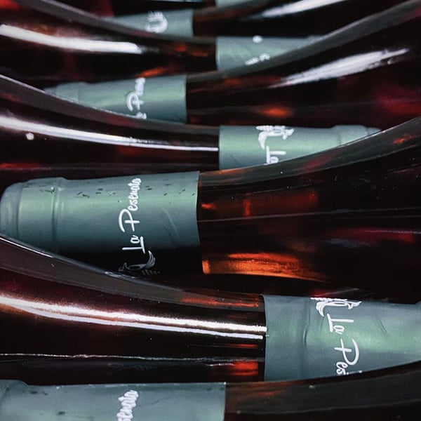 La Pesenata - Silvia e Gianni Benciolini con Andrea