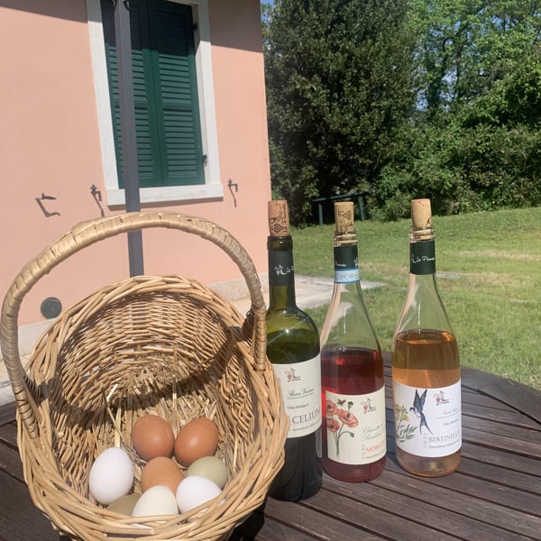 La Pesenata - Silvia e Gianni Benciolini con Andrea