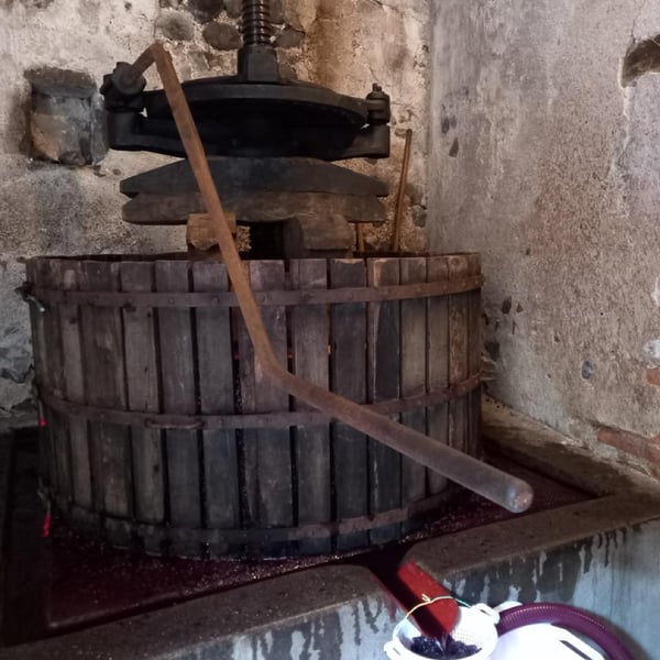 Simon Bousquet - Simon Bousquet