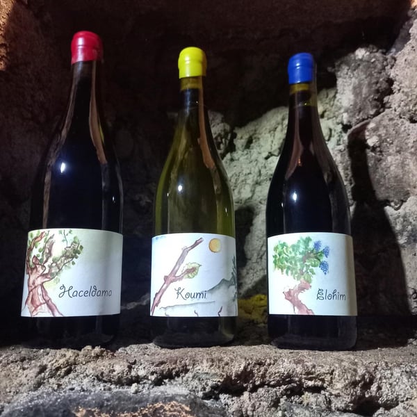 Simon Bousquet - Simon Bousquet