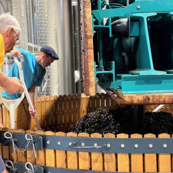 Domaine W - Sophie Et Dimitri