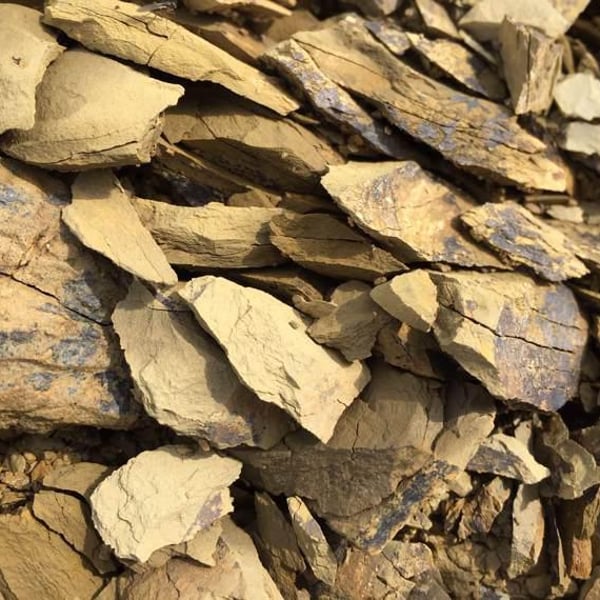 Sassocorno - Francesca Ius, Giuliano Poser, Stefano Poser