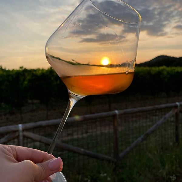 Sassocorno - Francesca Ius, Giuliano Poser, Stefano Poser