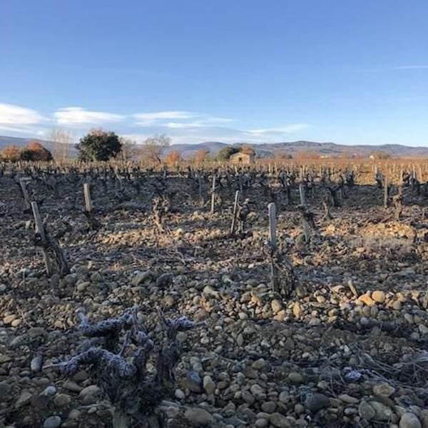 Domaine Bernatas - Stéphane & Jérôme Bernatas