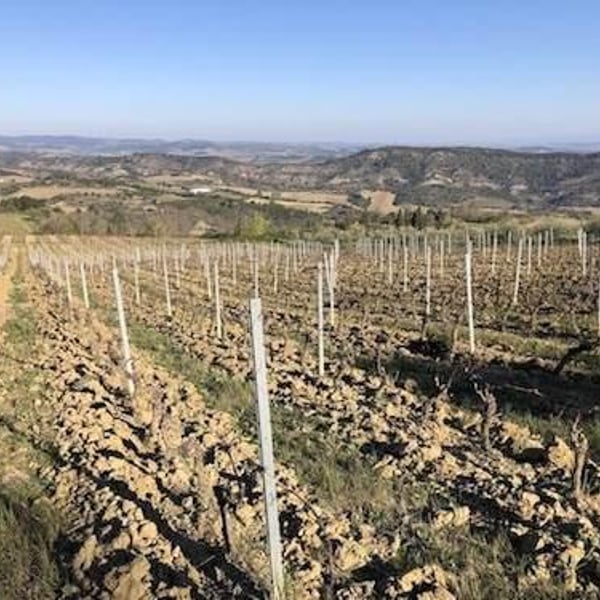 Domaine Bernatas - Stéphane & Jérôme Bernatas