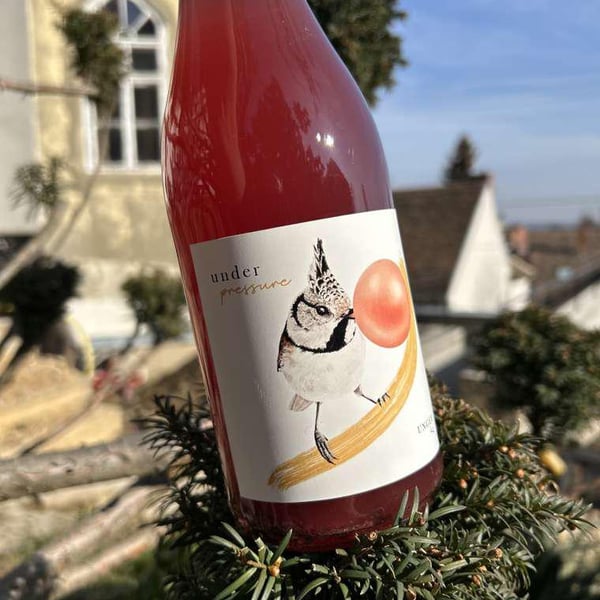 Tamás Kaibinger & Ervin Stampf