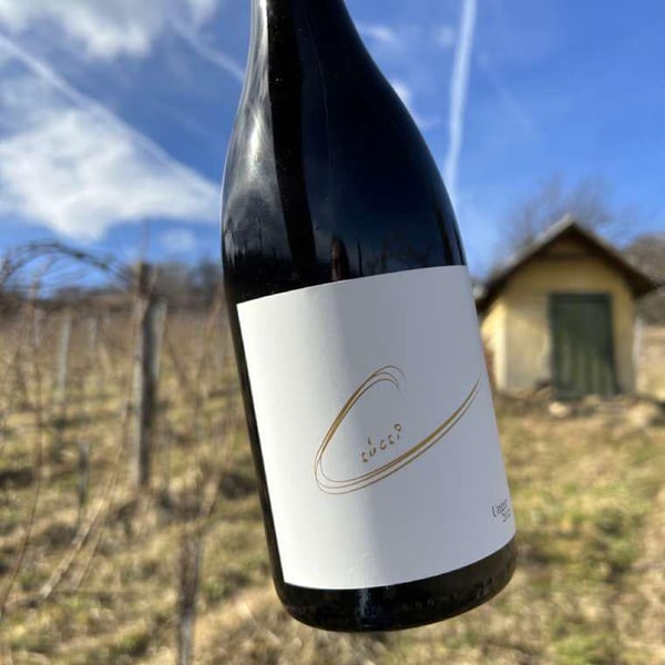 Tamás Kaibinger & Ervin Stampf