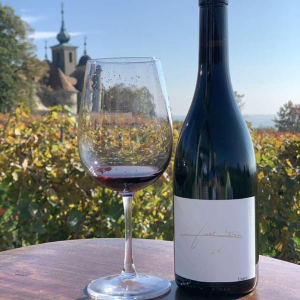 Tamás Kaibinger & Ervin Stampf