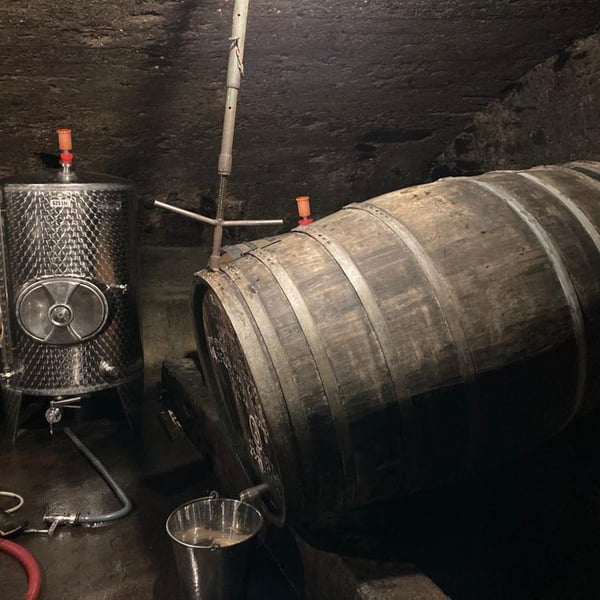 Jessika Reis & Philipp Musevi