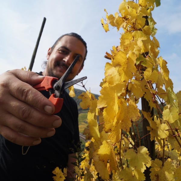 Jessika Reis & Philipp Musevi