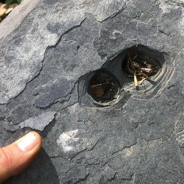 La Momoterie - Timothée Place