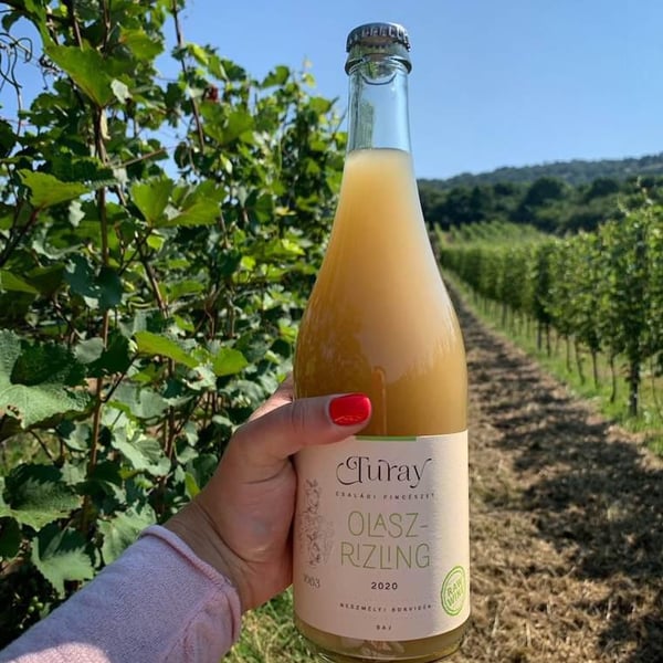 Turay Családi Pincészet - Turay Family