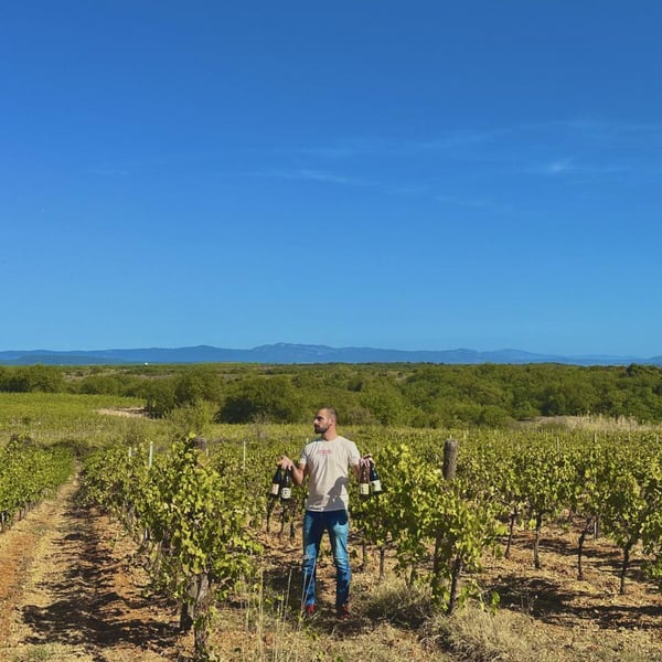 Domaine La Révolte - Victor Anglade