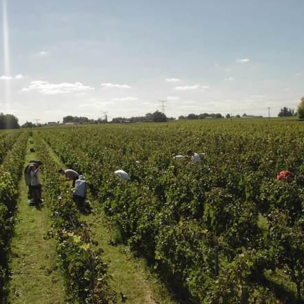 Château De Piote - Virginie Aubrion