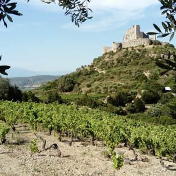 Poc a Poc - Xavier Ponsart