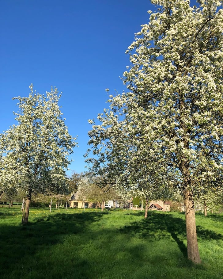 Cidrerie du Vulcain - Ferme La Prémoudière - Jacques Perritaz