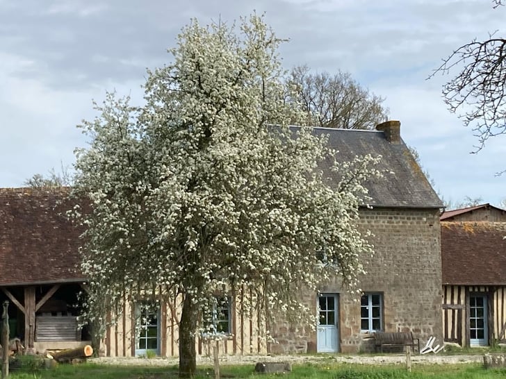 Cidrerie du Vulcain - Ferme La Prémoudière
